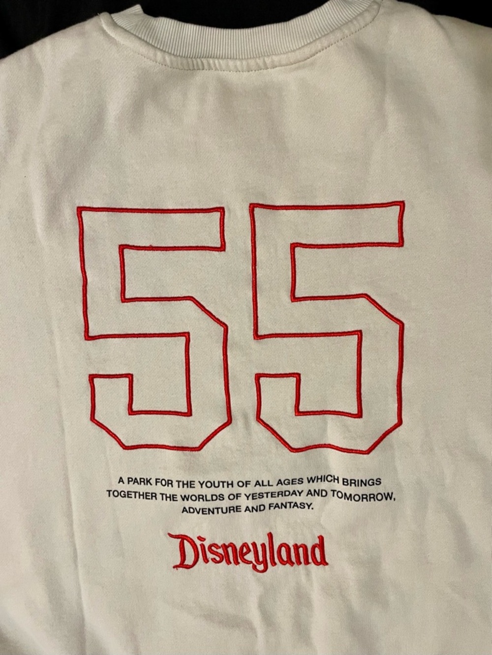 Disneyland Resort "55" Symbols Cream Crewneck Sweatshirt - Size XL - EUC - Picture 6 of 12